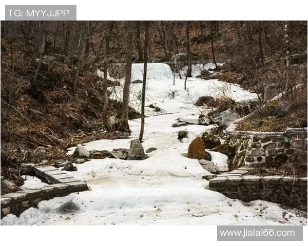 蔚山现代太阳神与安养人参的激烈对决谁将赢得胜利的荣耀与未来 蔚山现代太阳神与安养人参的激烈对决谁将赢得胜利的荣耀与未来