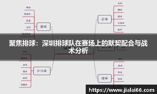 聚焦排球：深圳排球队在赛场上的默契配合与战术分析