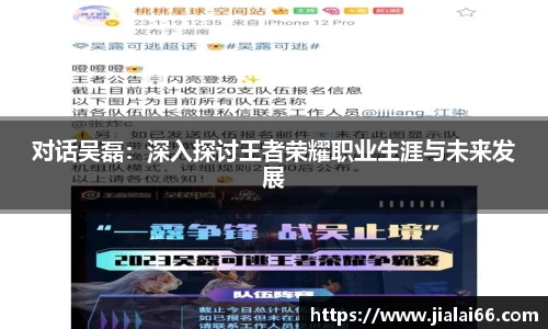 对话吴磊：深入探讨王者荣耀职业生涯与未来发展