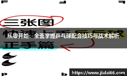 从零开始：全面掌握乒乓球配合技巧与战术解析